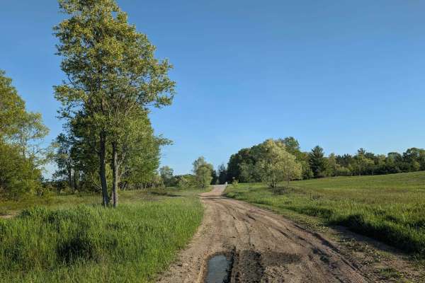 Beech Road