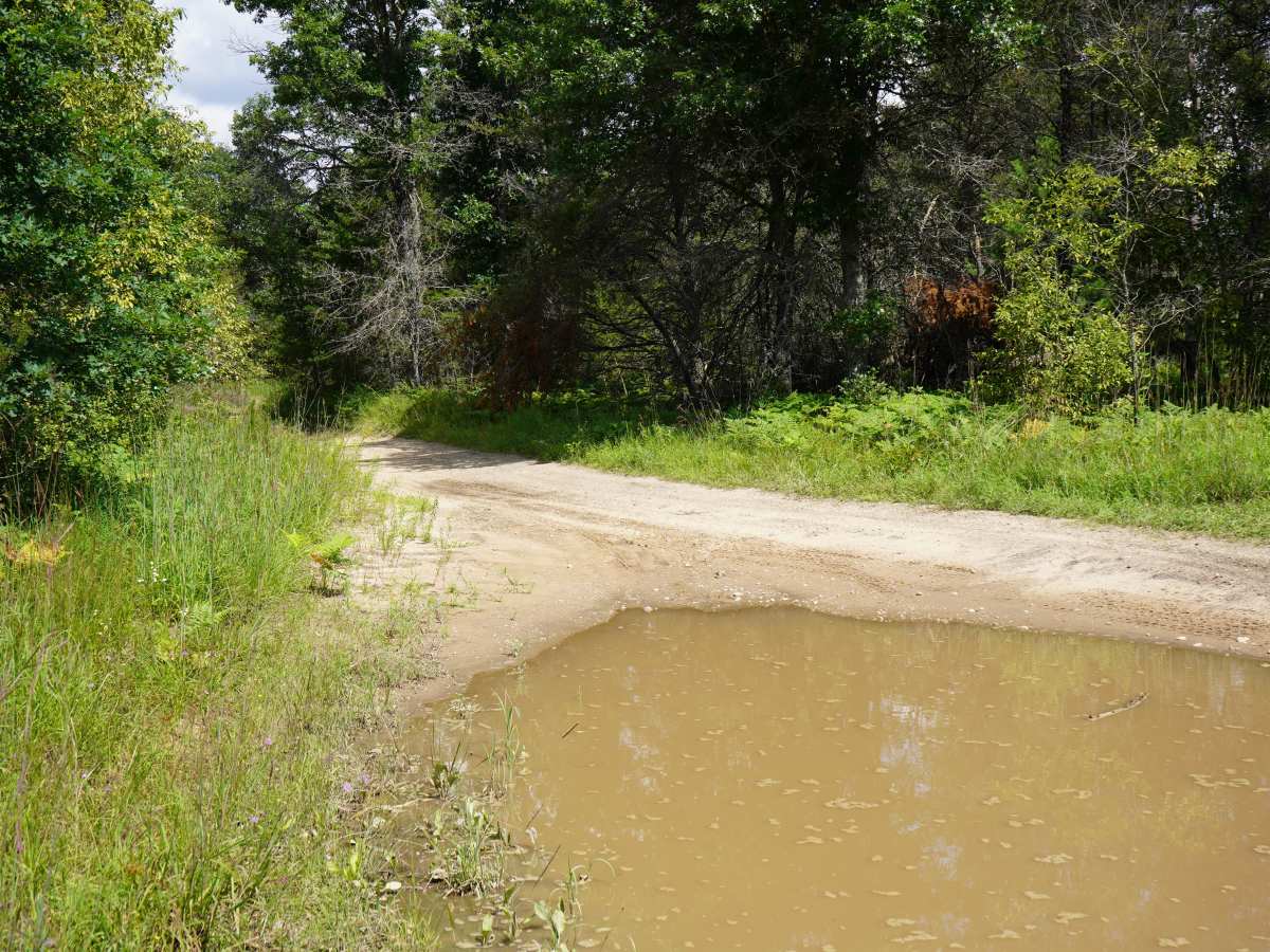 Center Plains Trail photo 4