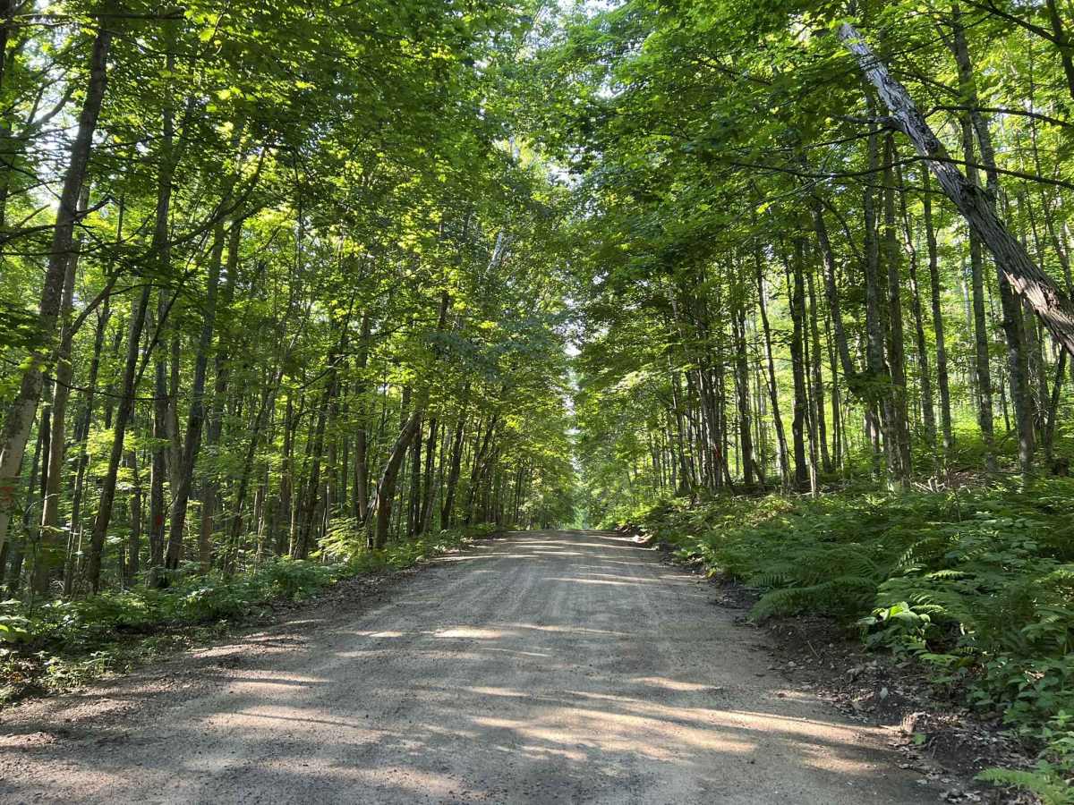 Brady Lake Road trail photo