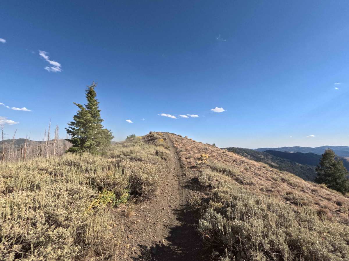 Middle Fork Warm Springs - FS 7150 photo 2