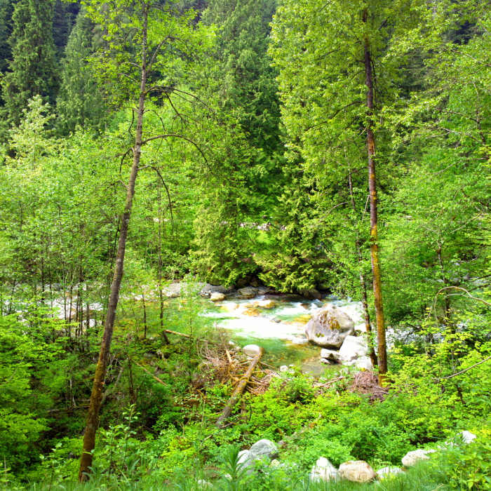 Near Lynn Loop Trail