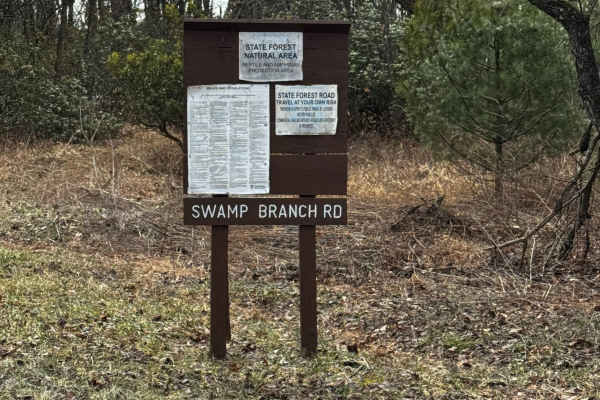 Swamp Branch Road