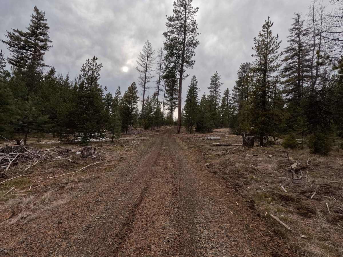 Swale Trail - FS 2107 photo 5