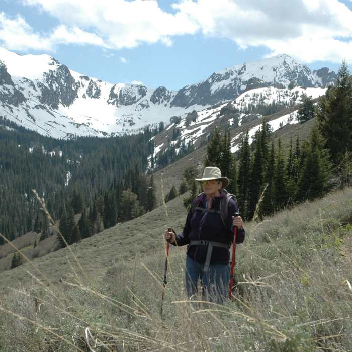 Northside of pioneer range iron bog drainage Near Iron Bog Lake Out-and-Back