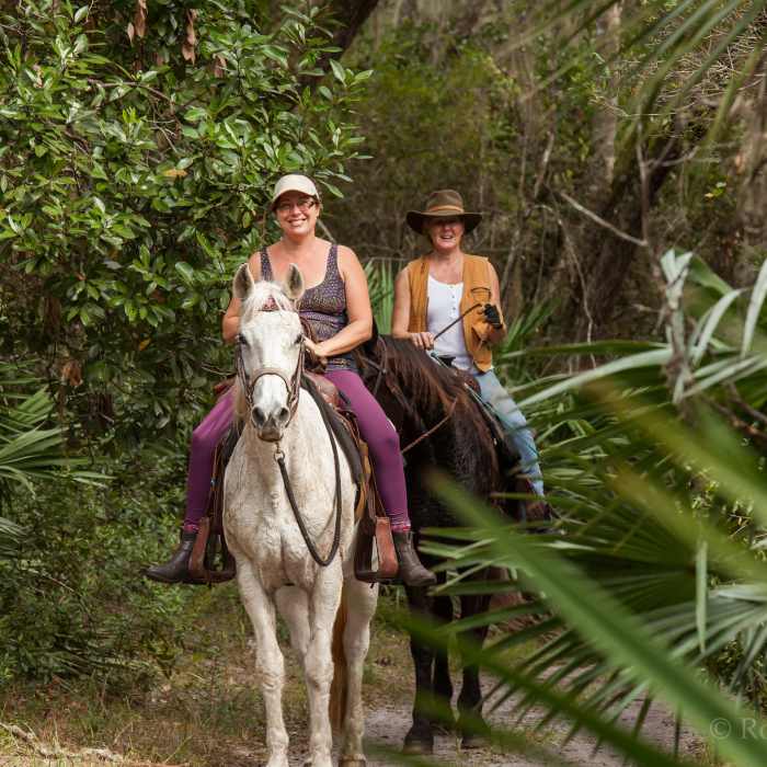 Near Guana Tolomato Matanzas 9-Miler