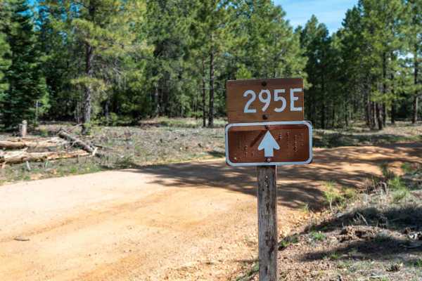 Knoll Lake - FS 295E