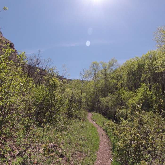 South Fork looking up. Beautiful! Near Trail S - South Fork Trail