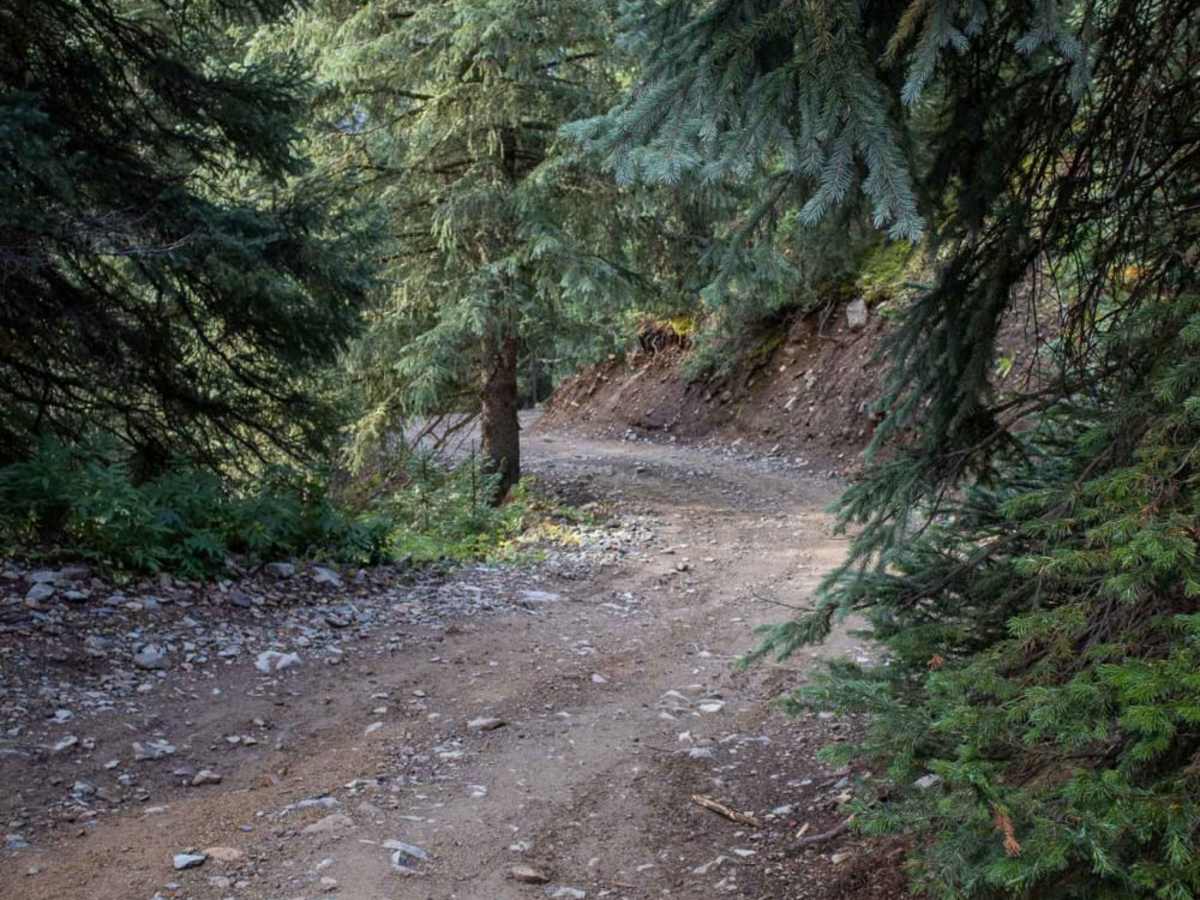 Chattanooga Trail photo 6