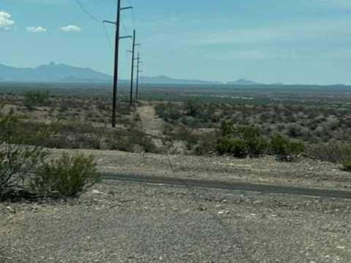 BLM SS1029 photo 5