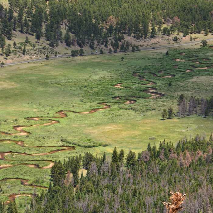 Near Ute Trail