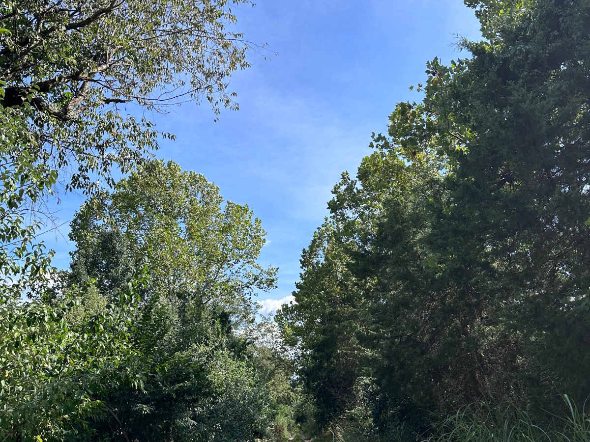 Whiting Tract photo 3