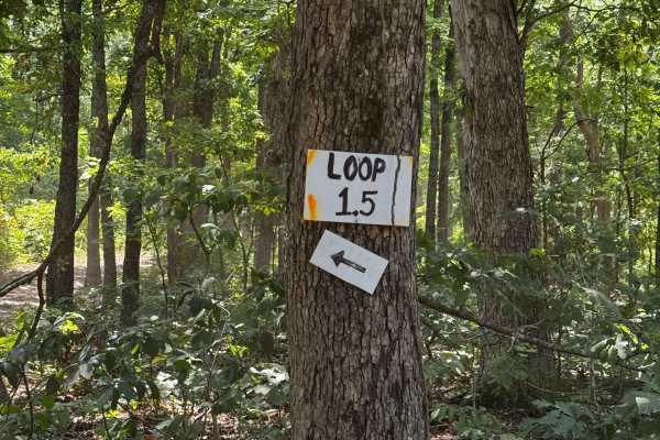 Loop 1.5