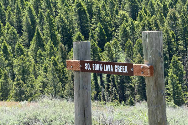 South Fork Lava Creek