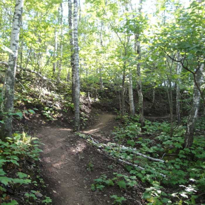 Near Amity East Trail