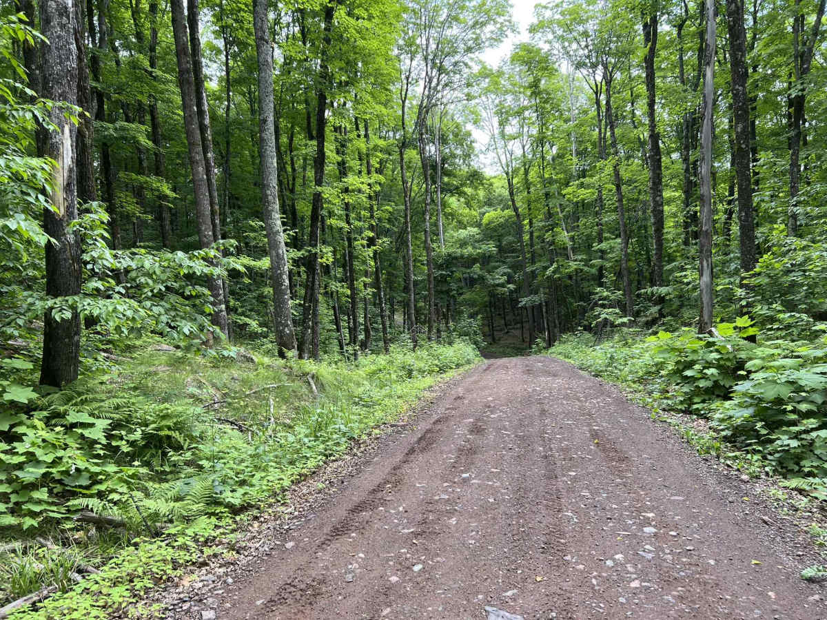 Trail P - FDR502 trail photo