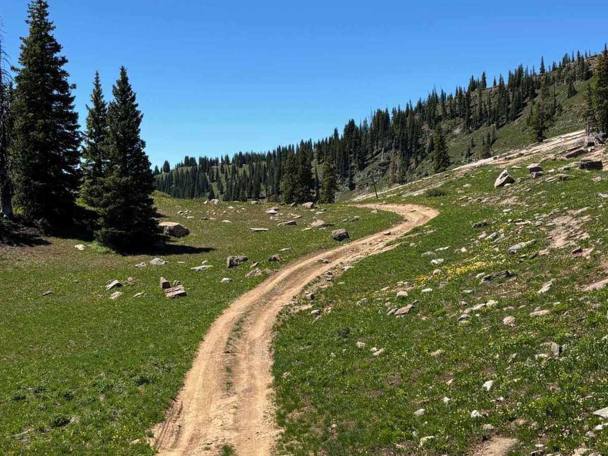 Burnt Ridge Road trail photo