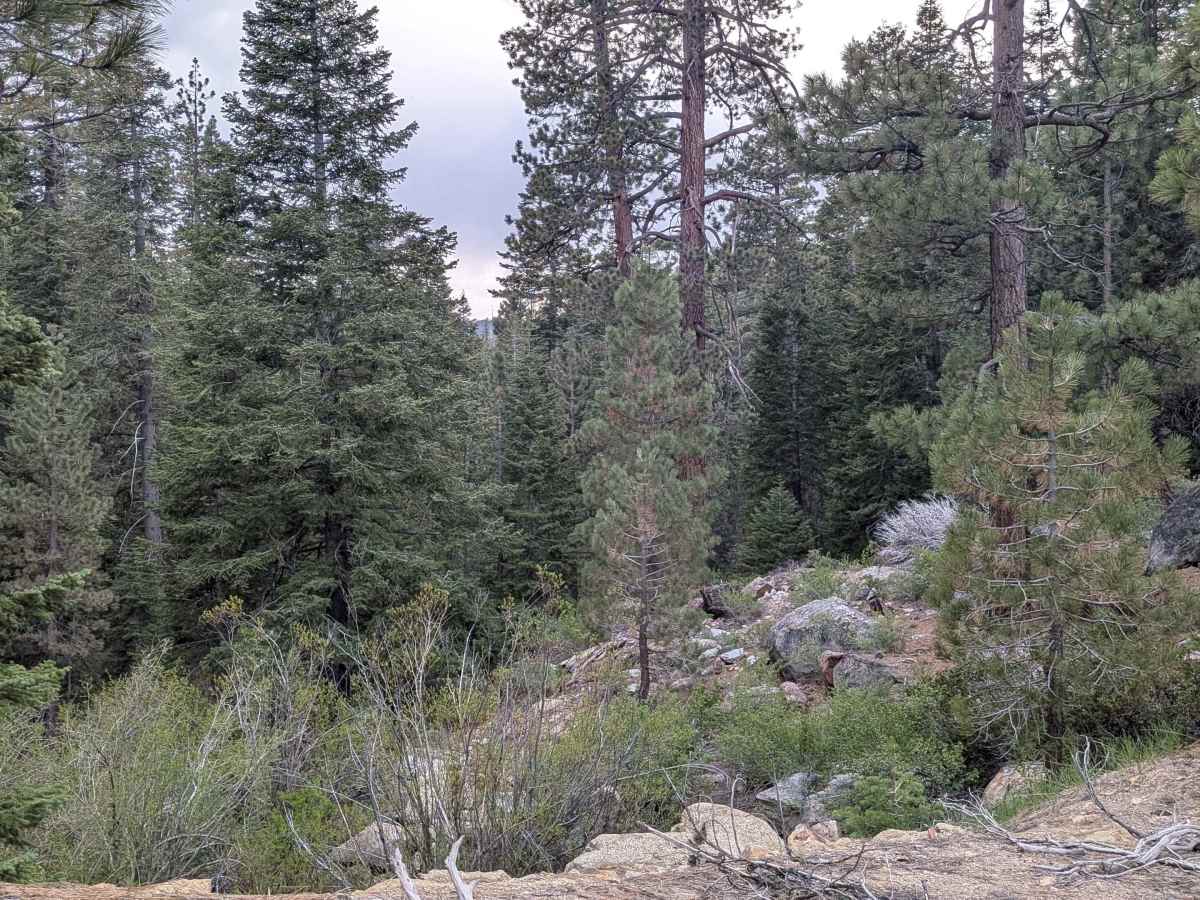 Deadwood - FS 23S09 photo 2