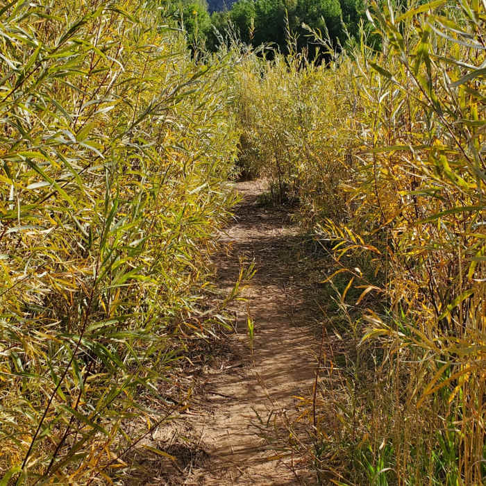 Near Wilbert's Way