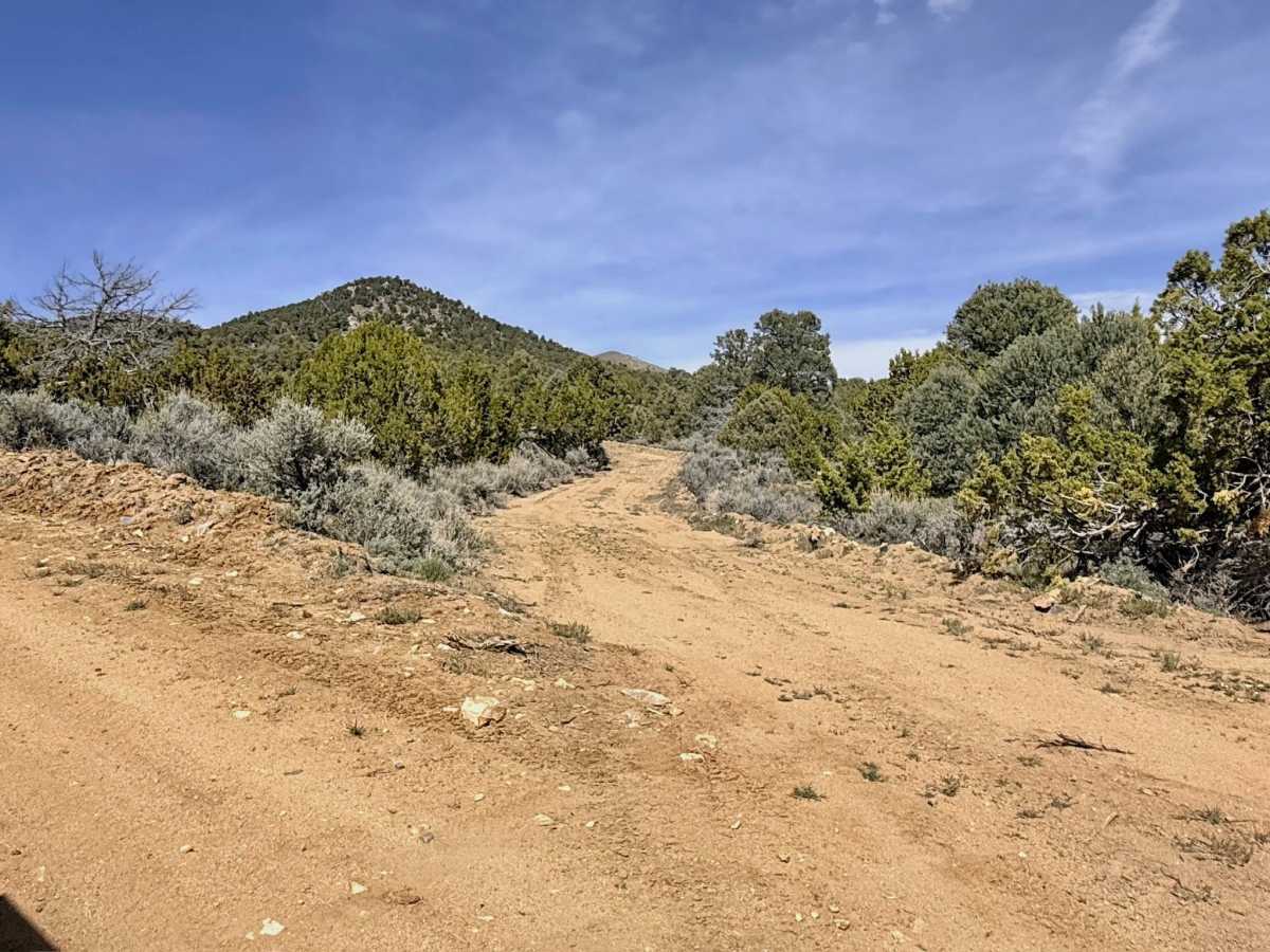 Yankee Blade (FS43184E) trail photo