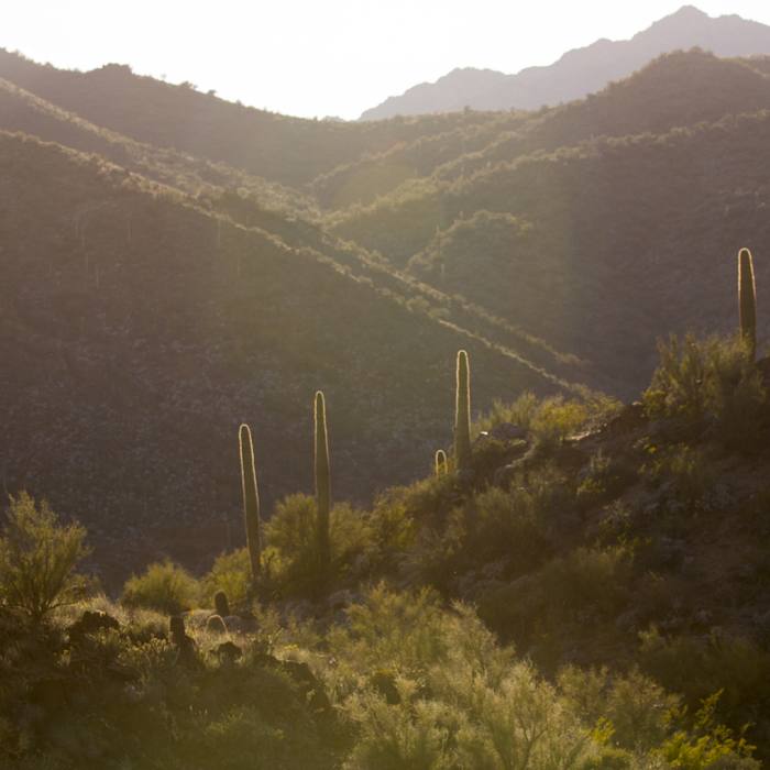 Near Black Canyon Trail