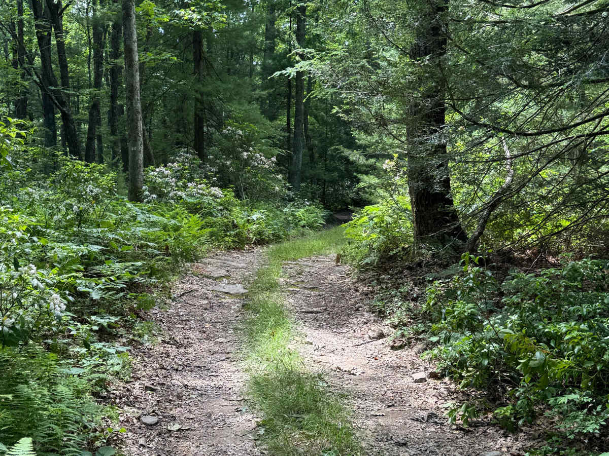 Pearly's Passage photo 2