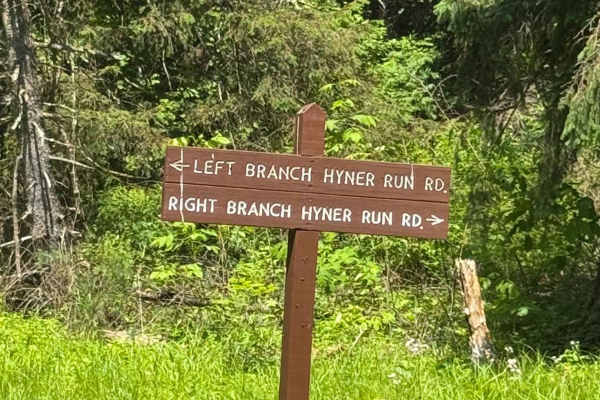Left Branch Hyner Run Road