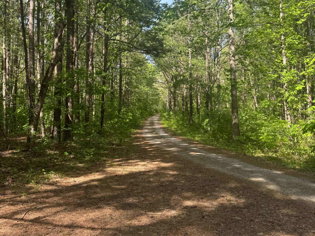 Cadiz Campground Trail photo 3