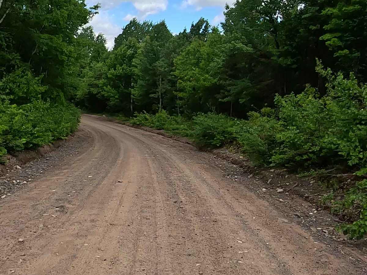 Silver Lake Road photo 3