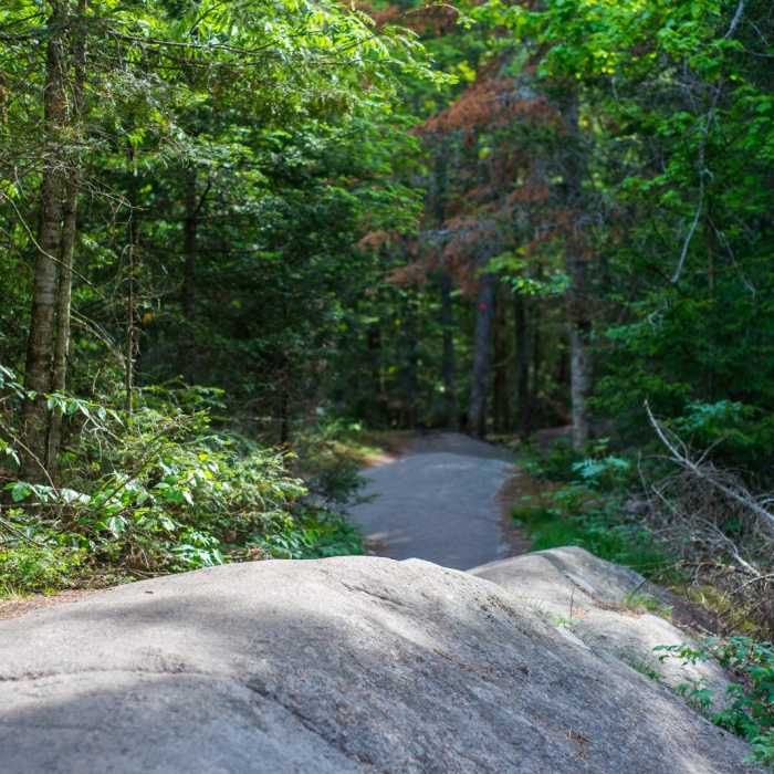 Near Bald Mountain + Rondaxe Fire Tower Near Bald Mountain + Rondaxe Fire Tower
