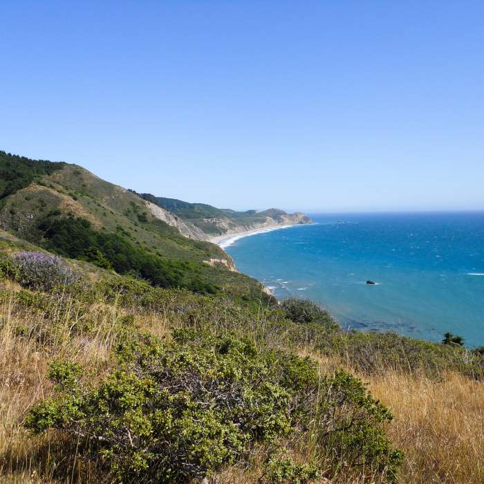 Near Mount Wittenberg and Bear Valley Loop