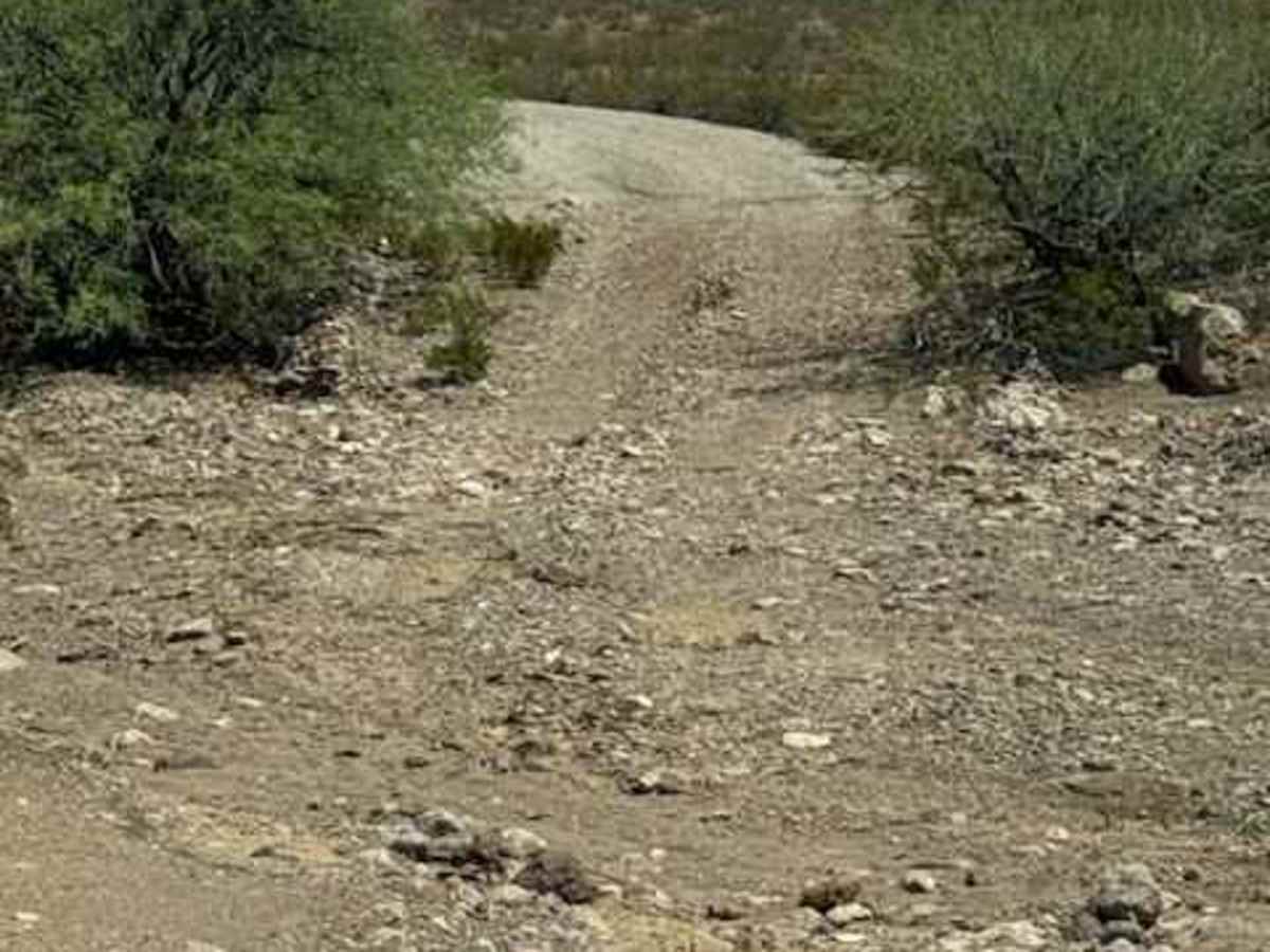 BLM PE1139 photo 6