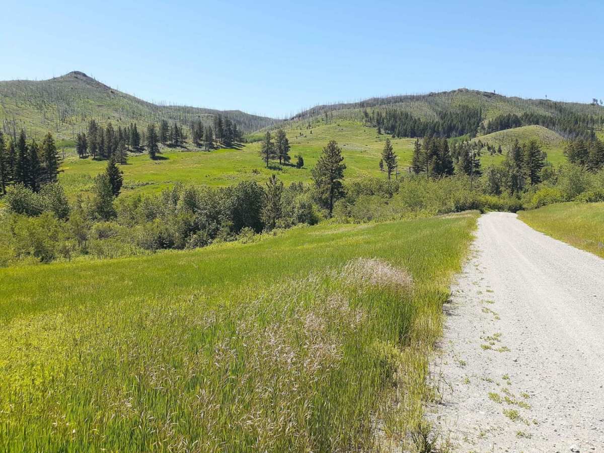 West Bridger Creek Cruise photo 4