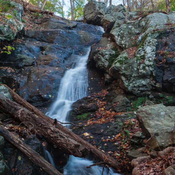 Near Waterfall Trail (Blue)