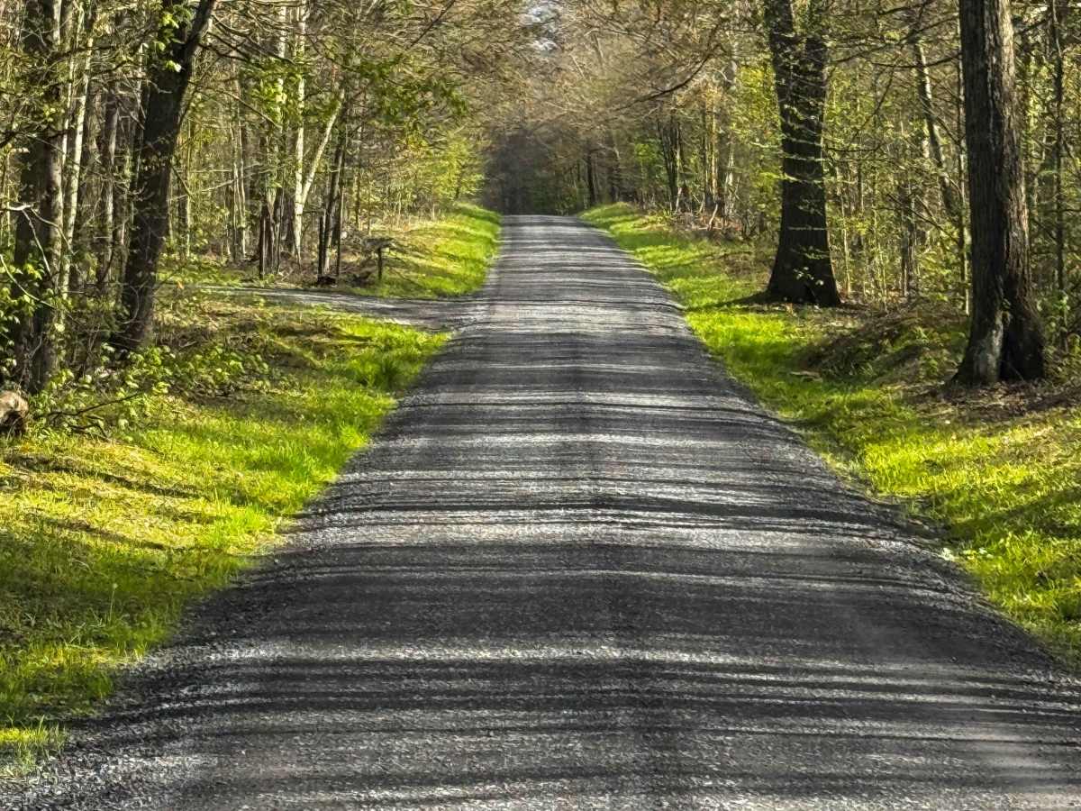 Harley Dean Road photo 2