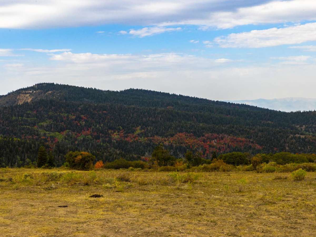 Water Hollow Road photo 6