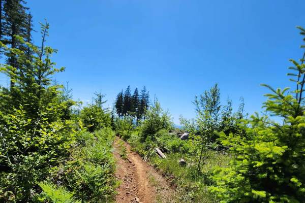 Twin Peaks Trail