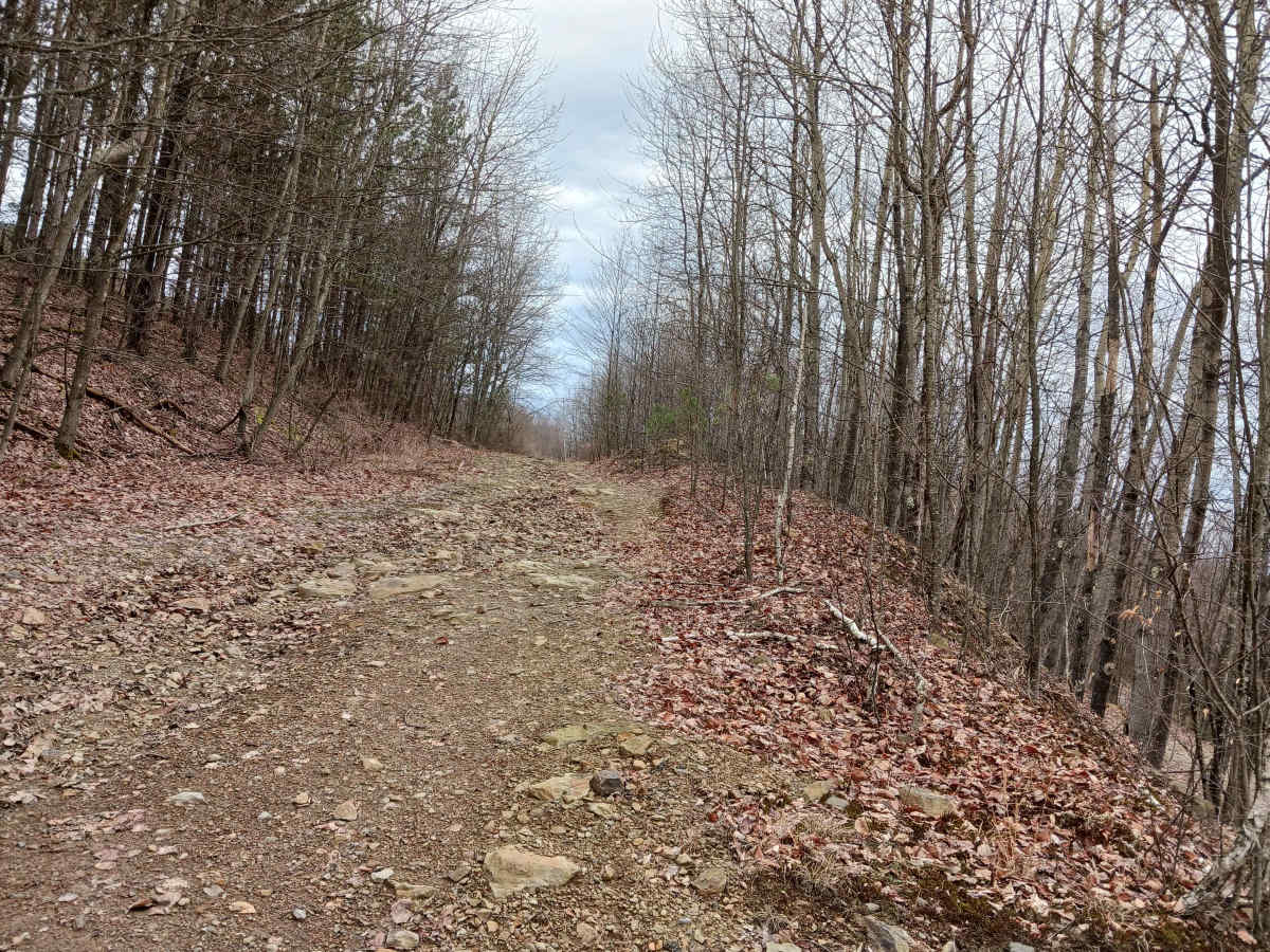 Rocky Run - Rock Run Recreation Area photo 2