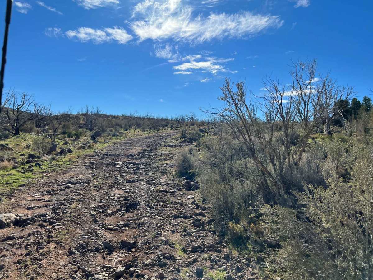 Mokaac Mountain trail photo