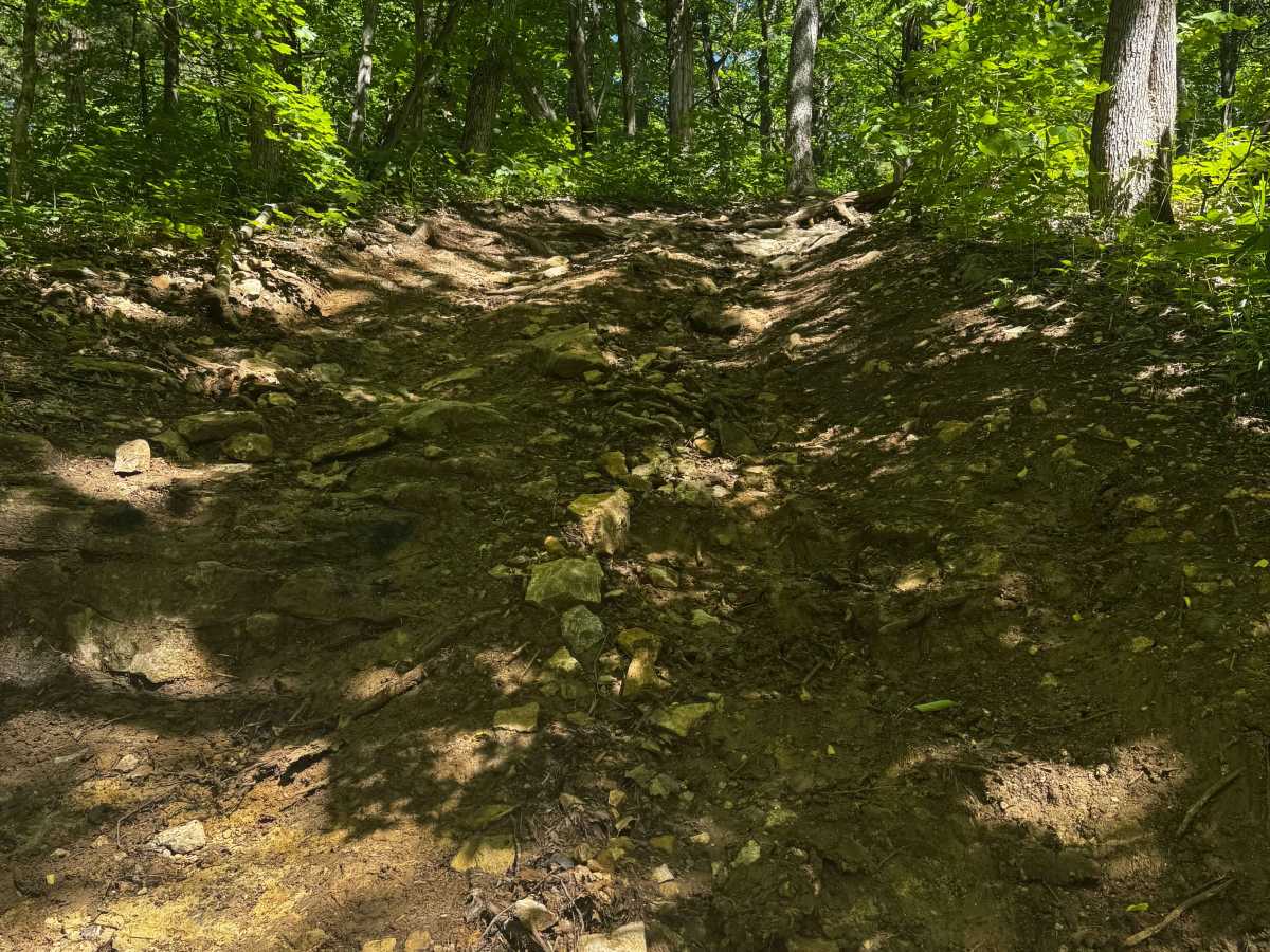 Inner Cut 11 trail photo