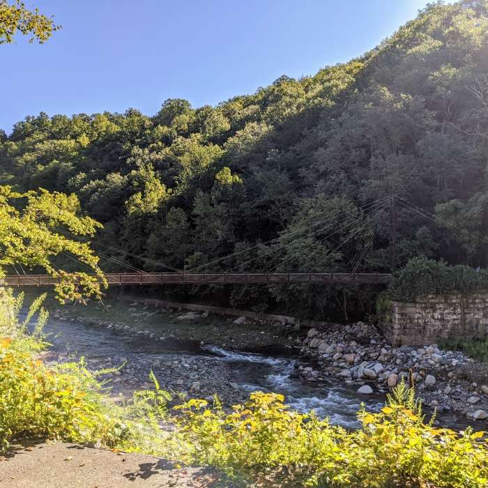 Near Buzzards Rock Trail