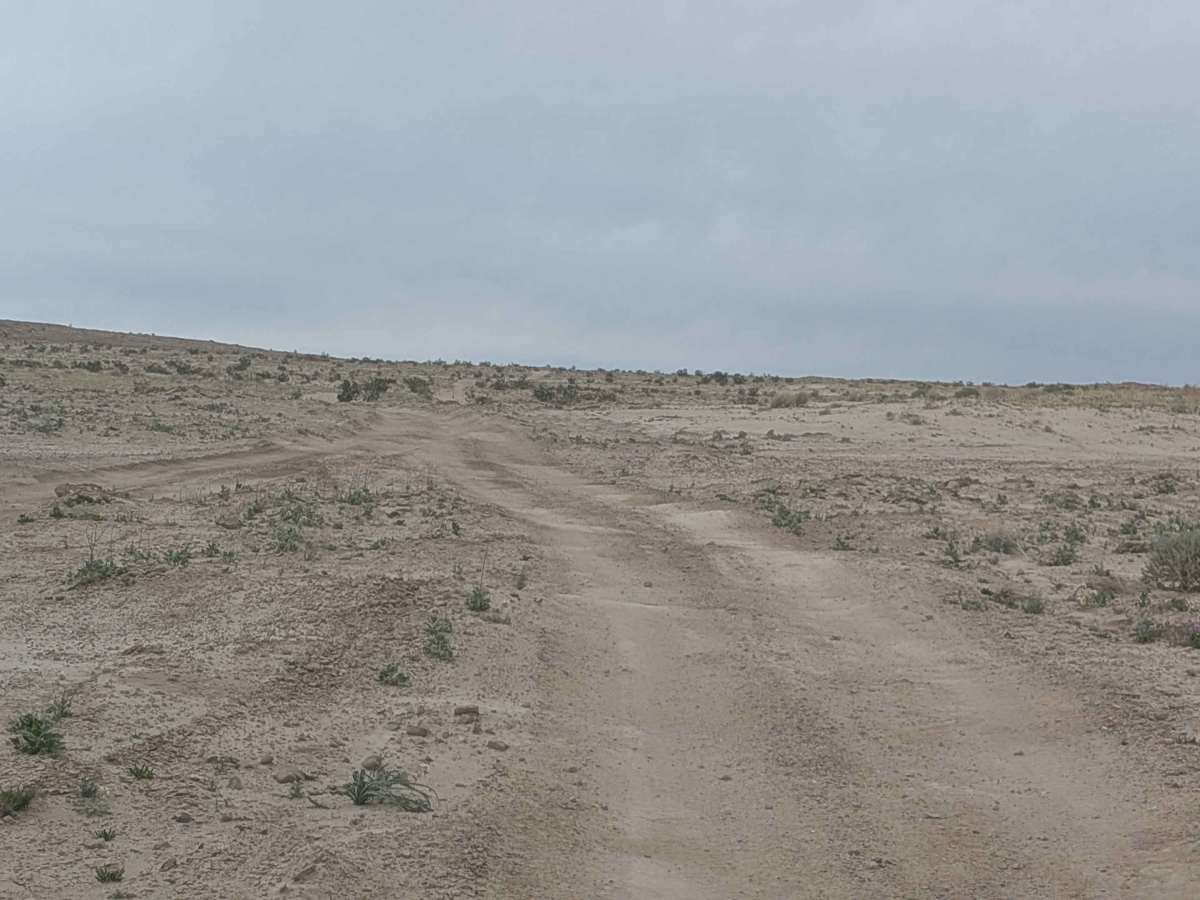 Textbook Trail photo 4