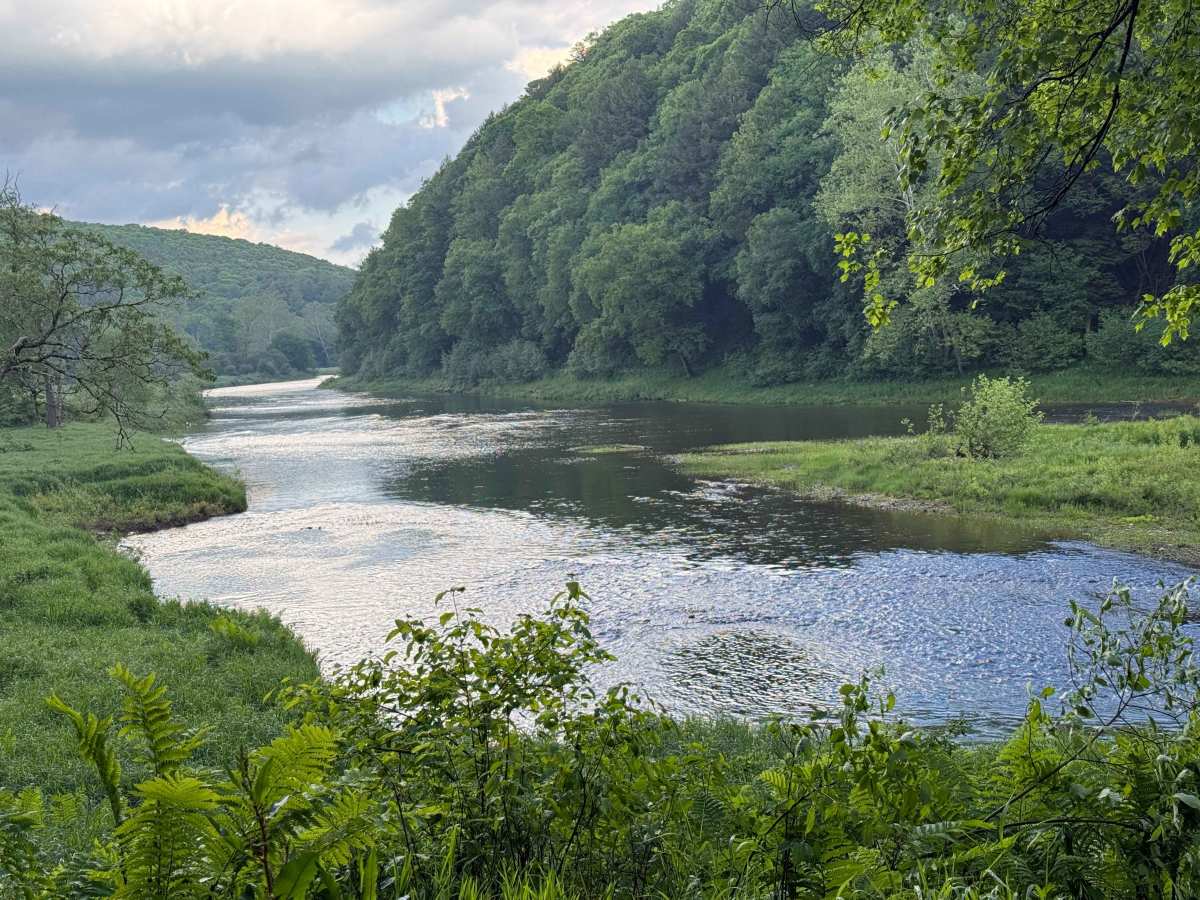 Cross PA Adventure Trail - FS 396 photo 4