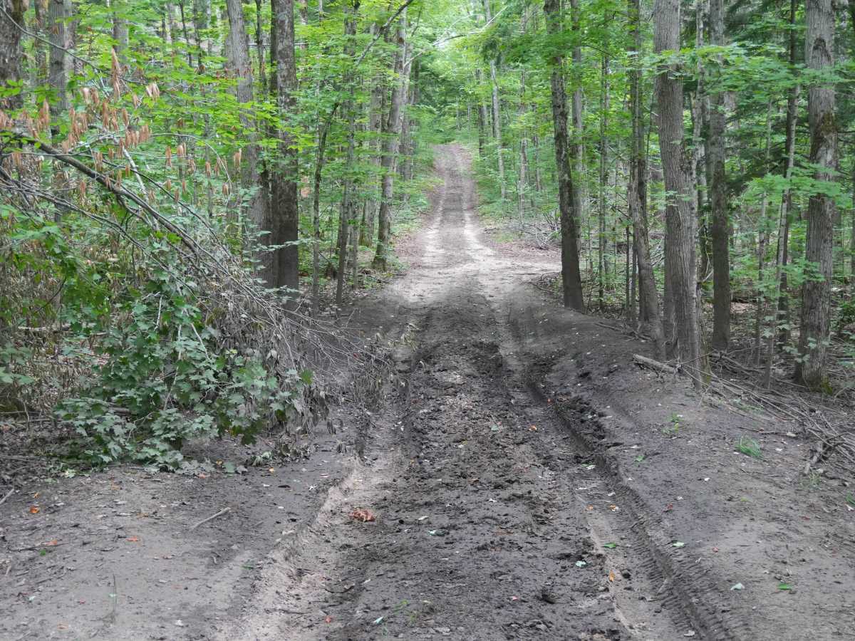 Hemlock Lake Trail photo 6