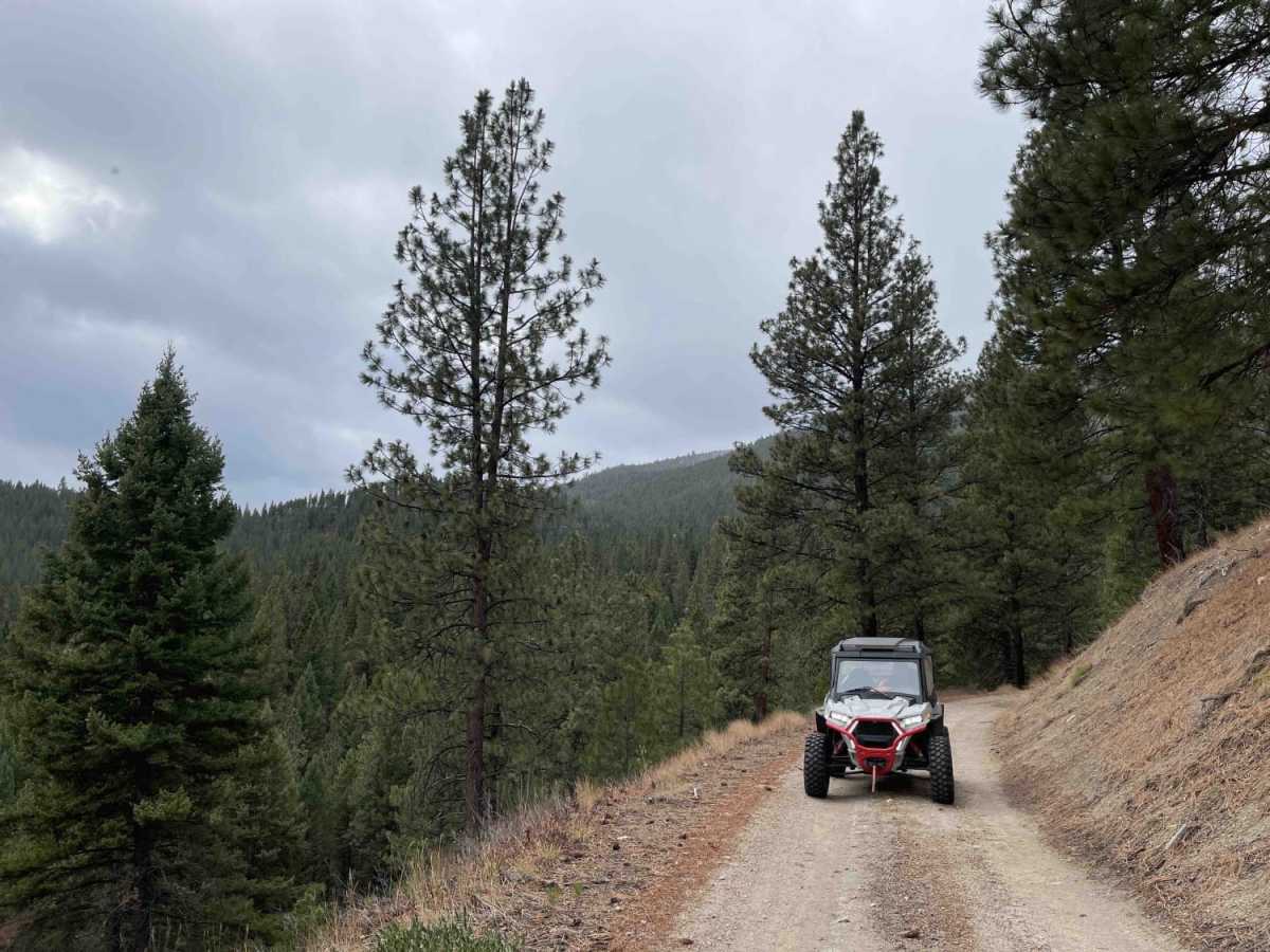 Lower Pierce Creek trail photo
