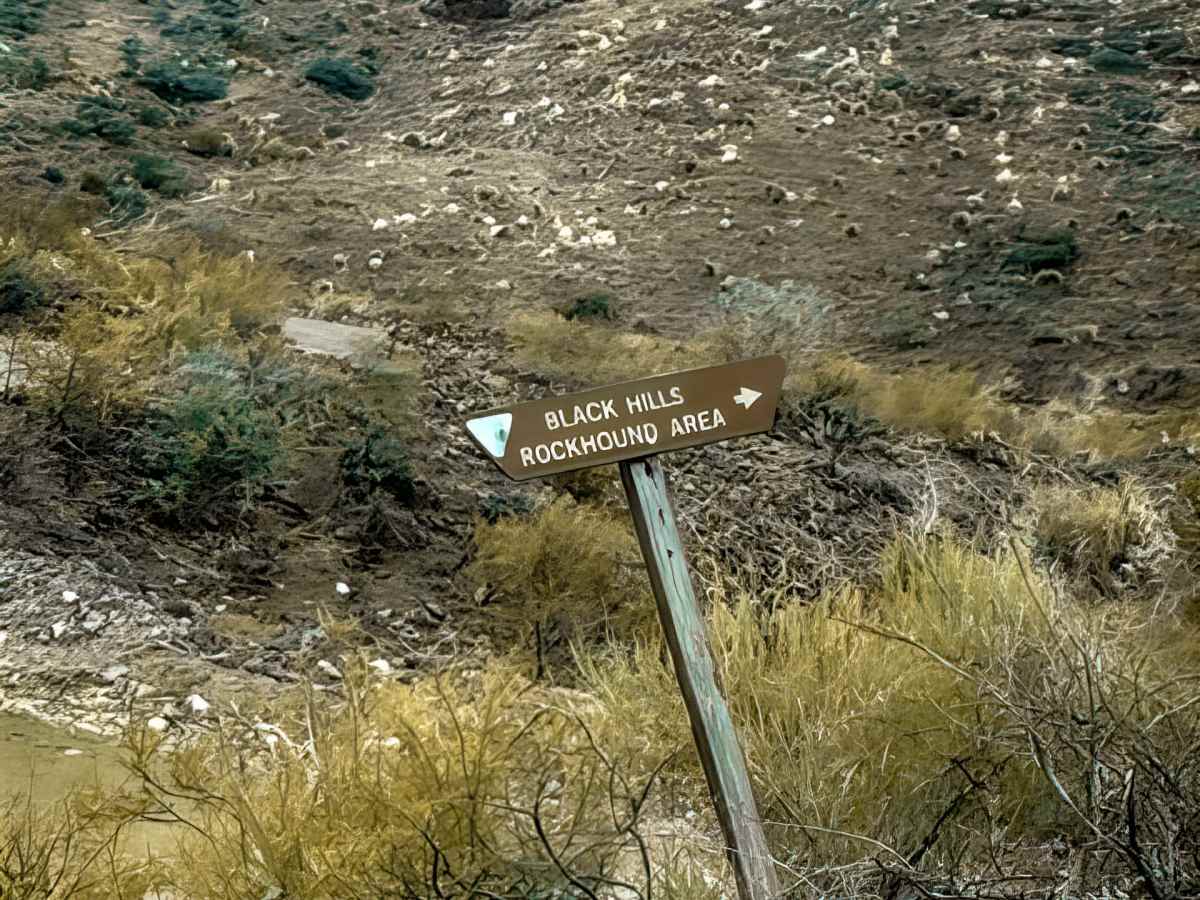 Pe1094 trail photo