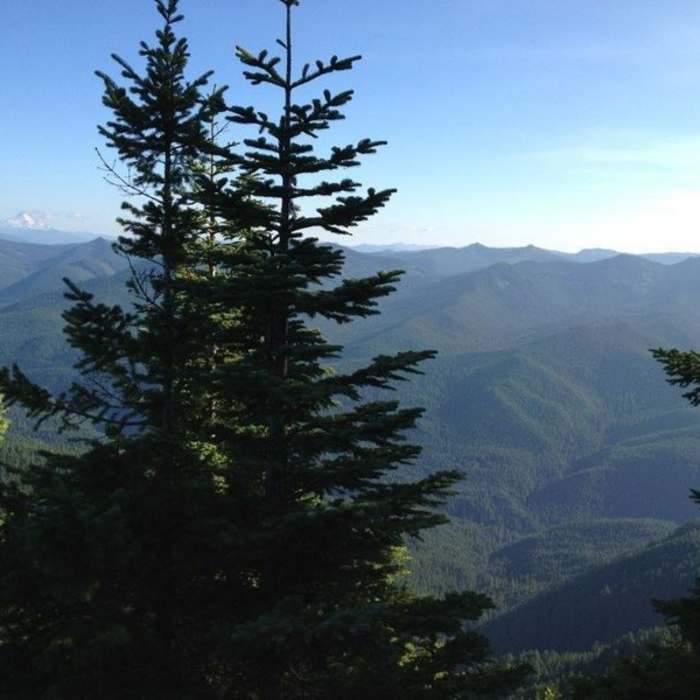 View of Mt. Jefferson and Salmon-Huckleberry Wilderness to the south, from Devil's Peak Lookout. Photo by Jesse Aszman. Near Hunchback Trail #793