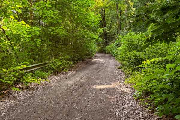 Cold Springs Road