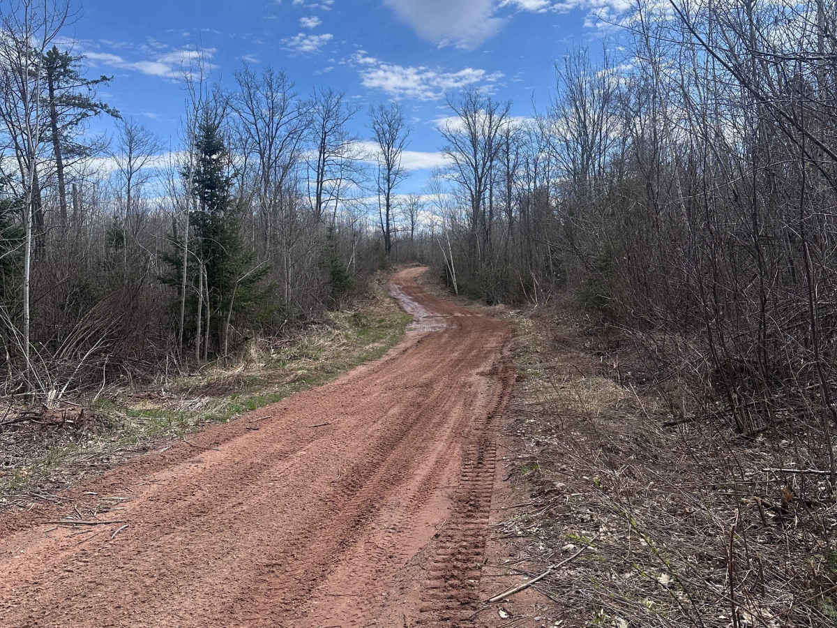 Yellow Birch Trail photo 6