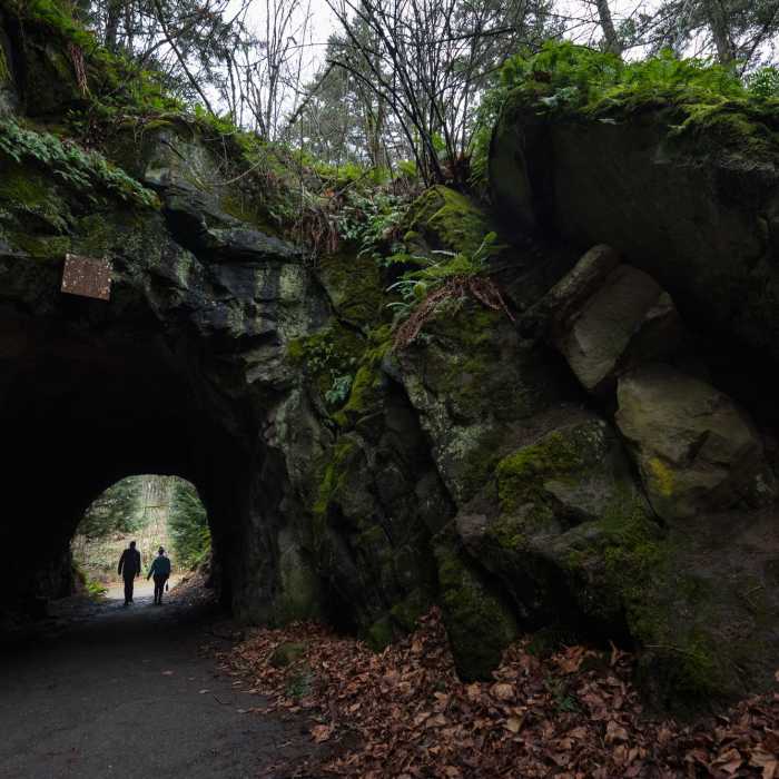 Near Douglas Fir Trail