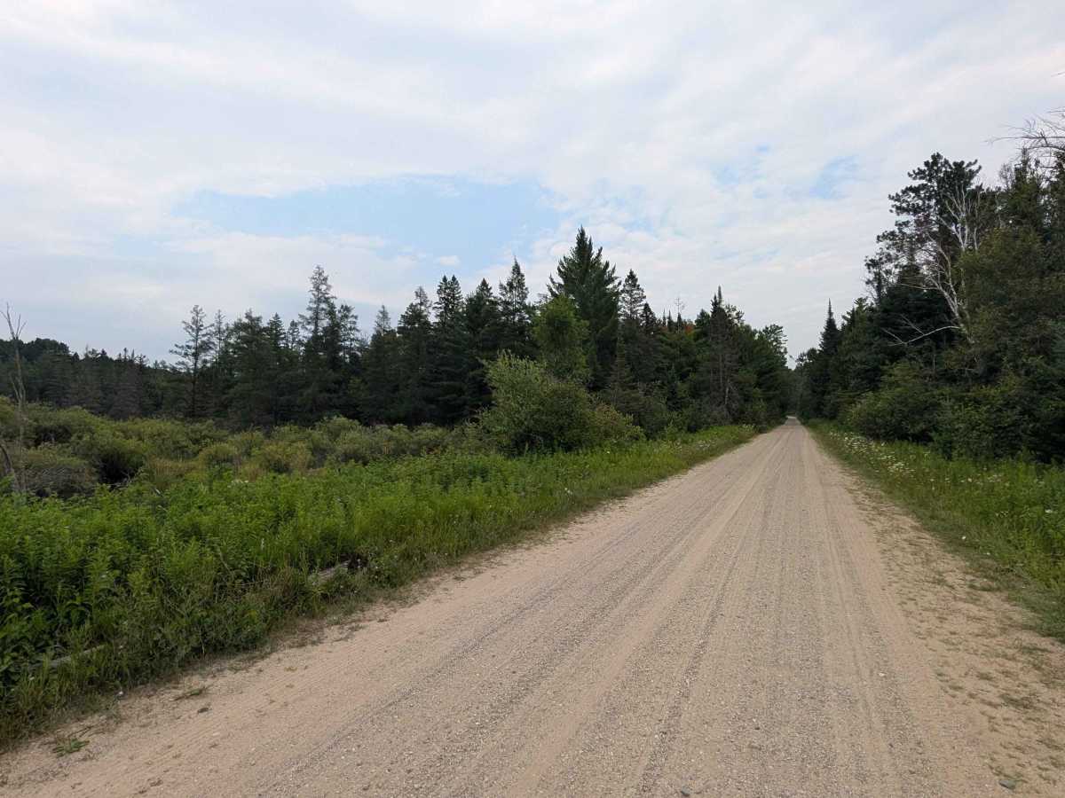 Body Road photo 6